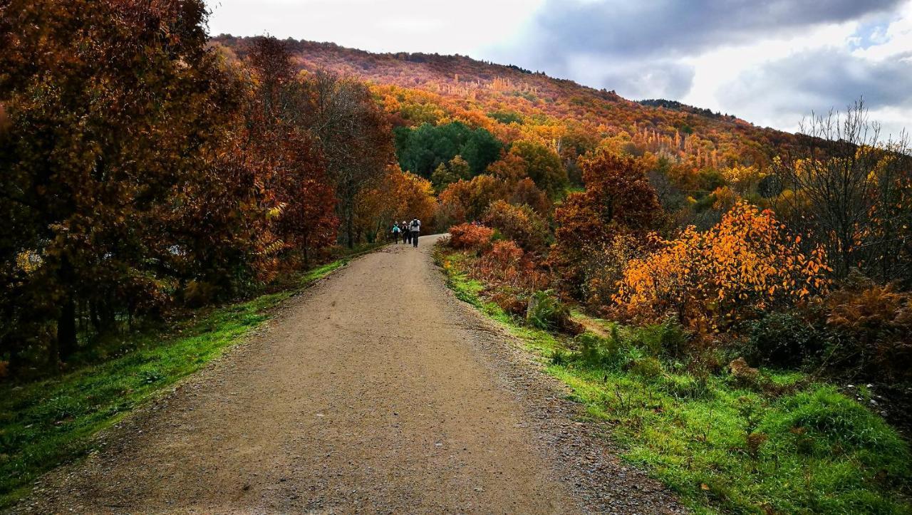 Casa Rural Arbequina Despierta Tus Sentidos En El Valle Del Ambroz Casas del Monte Zewnętrze zdjęcie